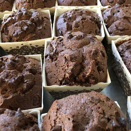 Serena Castrocaro Terme e Terra del Sole